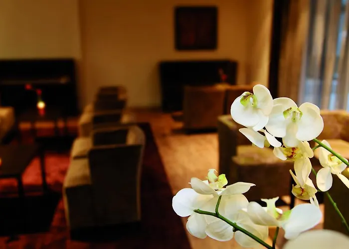 詹森希尔公园酒店